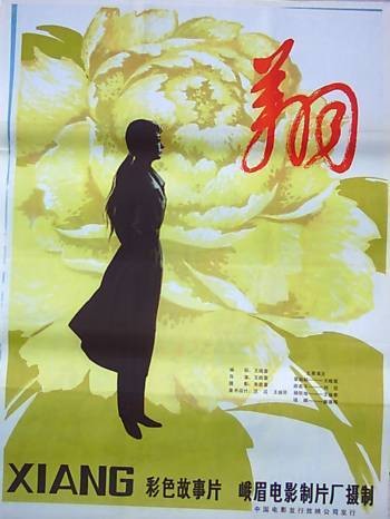 翔（1982年王晓棠执导的剧情电影）