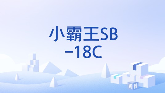 小霸王SB-18C
