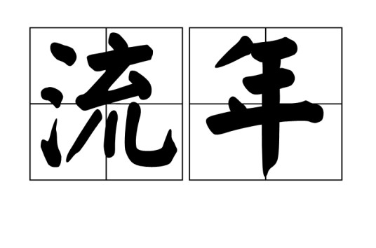 流年（汉语词语）
