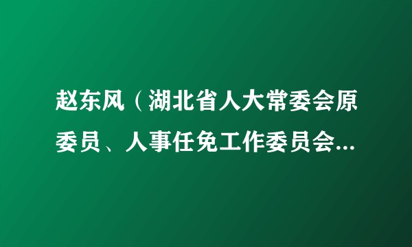 赵东风（湖北省人大常委会原委员、人事任免工作委员会原主任）