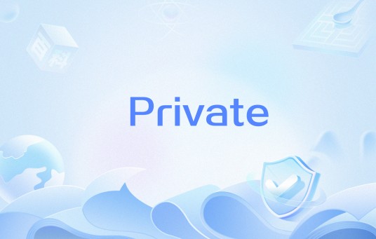 Private（美国媒体公司）