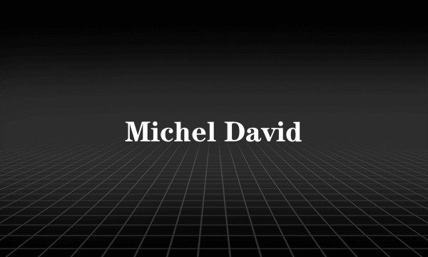 Michel David