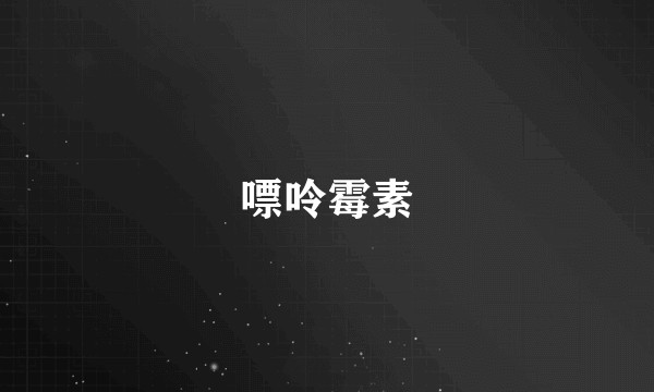 嘌呤霉素