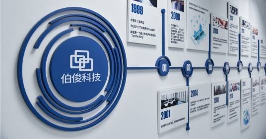 上海伯俊软件科技有限公司