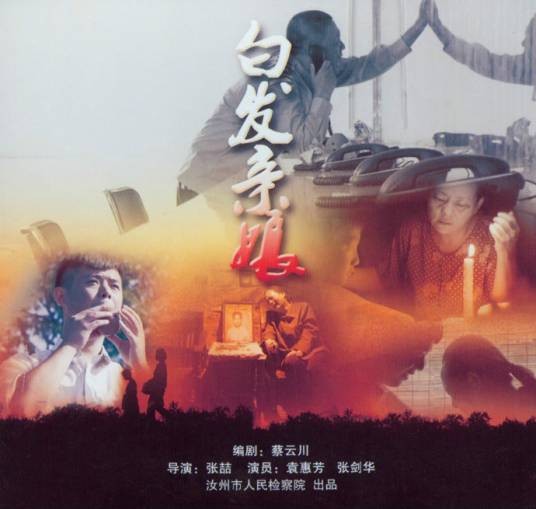 白发亲娘（2015年的廉政题材微电影）