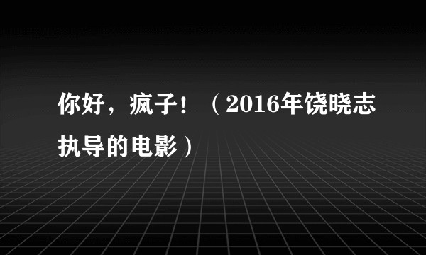 你好，疯子！（2016年饶晓志执导的电影）
