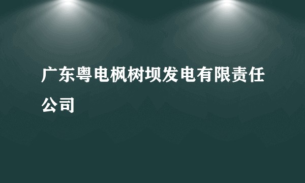 广东粤电枫树坝发电有限责任公司