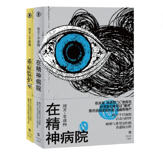 重症监护室（周芳创作的长篇非虚构作品）