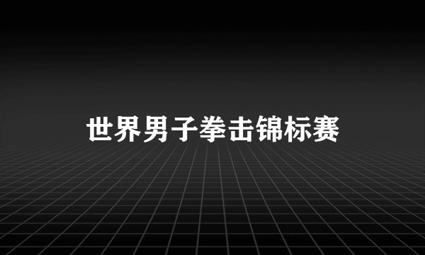 世界男子拳击锦标赛