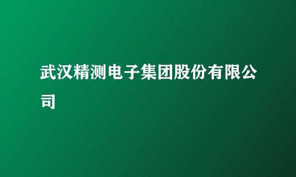 武汉精测电子集团股份有限公司