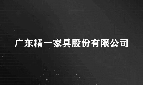 广东精一家具股份有限公司