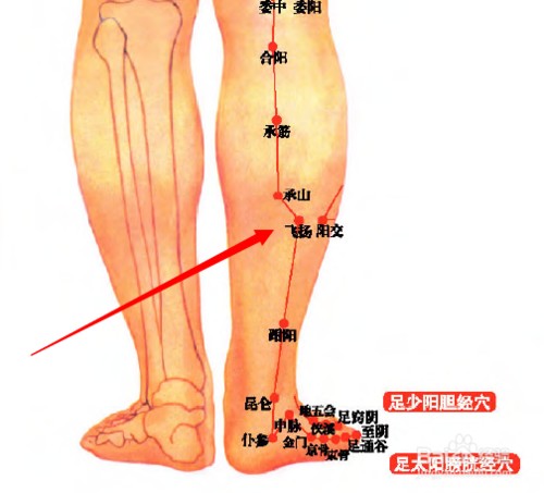 飞扬穴