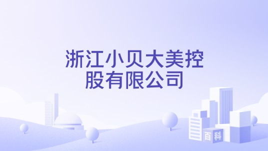 浙江小贝大美控股有限公司