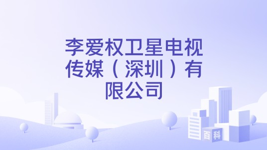 李爱权卫星电视传媒（深圳）有限公司