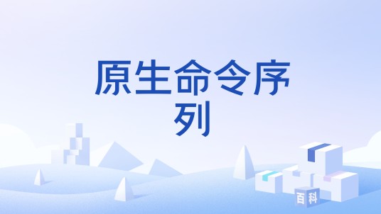 原生命令序列