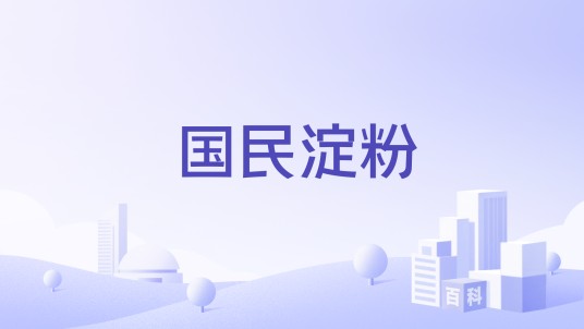 国民淀粉