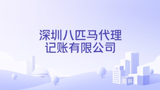 深圳八匹马代理记账有限公司