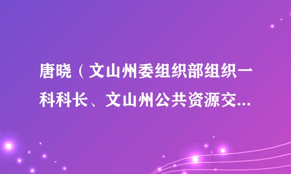 唐晓（文山州委组织部组织一科科长、文山州公共资源交易管理局局长）