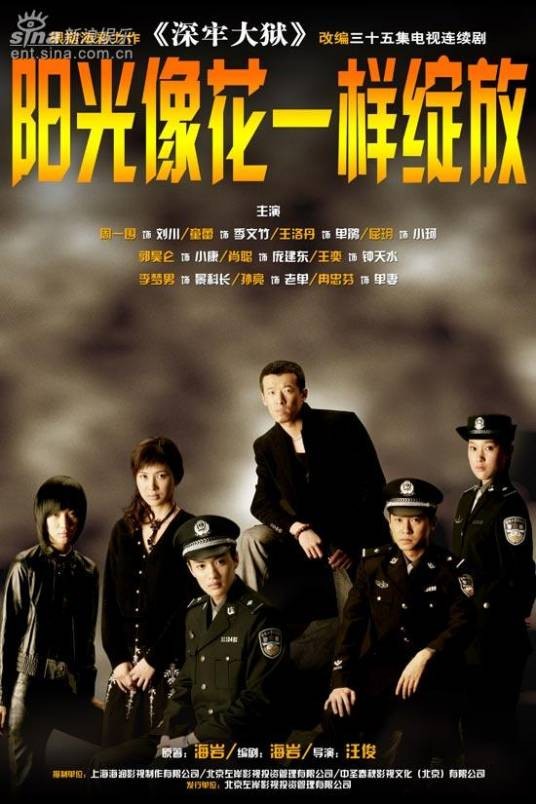 阳光像花一样绽放(2006年汪俊执导的电视剧)