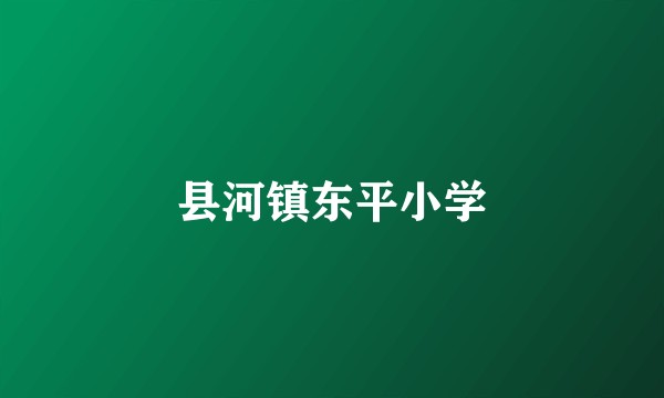 县河镇东平小学