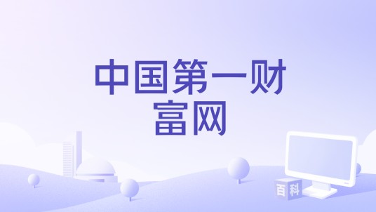 中国第一财富网