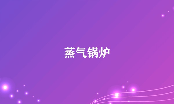 蒸气锅炉