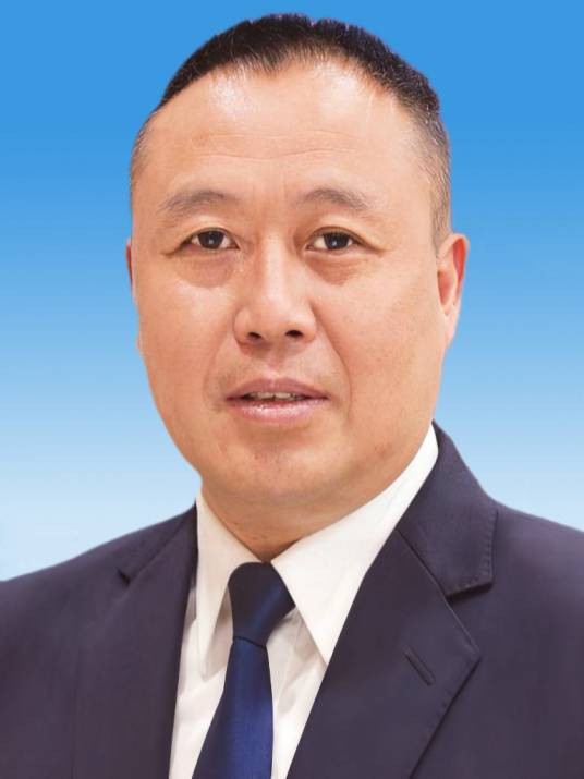 王琪（四川省公安厅刑事侦查总队总队长）