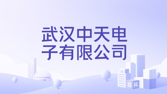 武汉中天电子有限公司