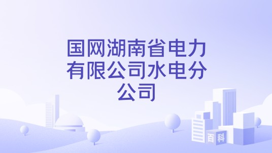国网湖南省电力有限公司水电分公司