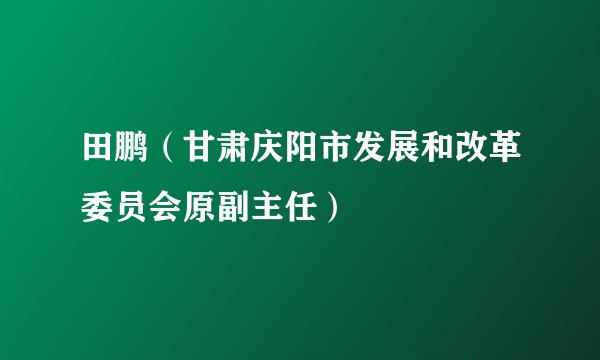 田鹏（甘肃庆阳市发展和改革委员会原副主任）