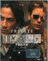 不羁的天空（美国1991年格斯·范·桑特自编自导的剧情片）