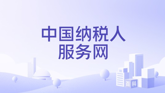 中国纳税人服务网