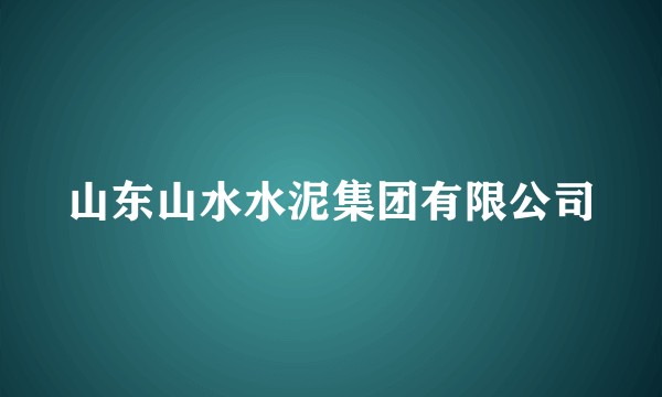 山东山水水泥集团有限公司