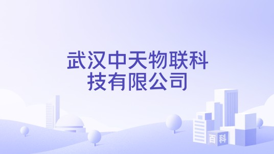 武汉中天物联科技有限公司