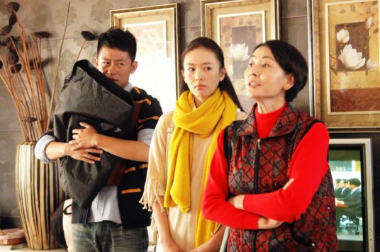 独生子女（2011年内地电视剧）