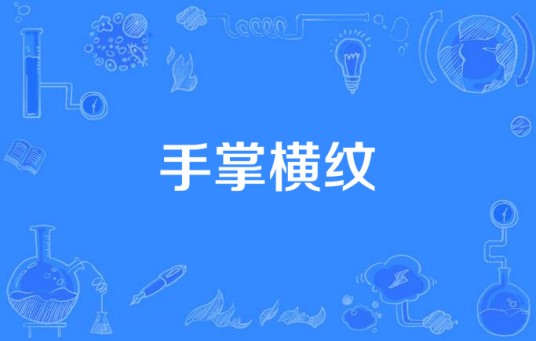 手掌横纹