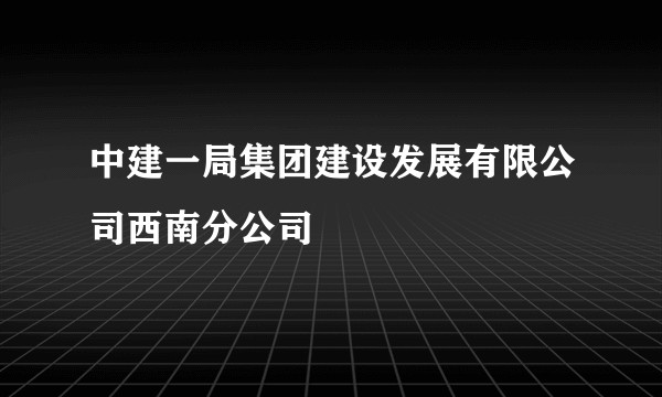 中建一局集团建设发展有限公司西南分公司
