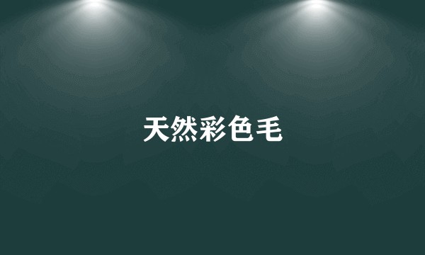 天然彩色毛