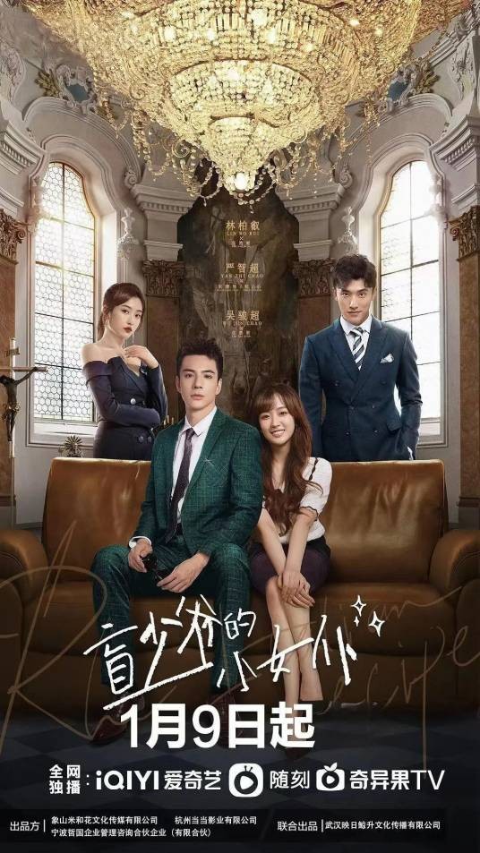 盲少爷的小女仆(2023年张馨元执导爱情电视剧)
