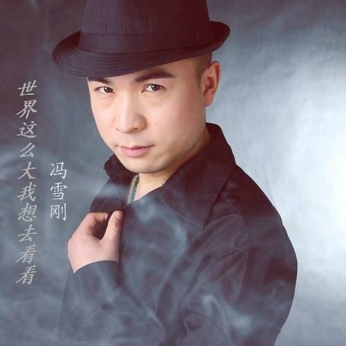 世界这么大我想去看看(2015年冯雪刚演唱的歌曲)