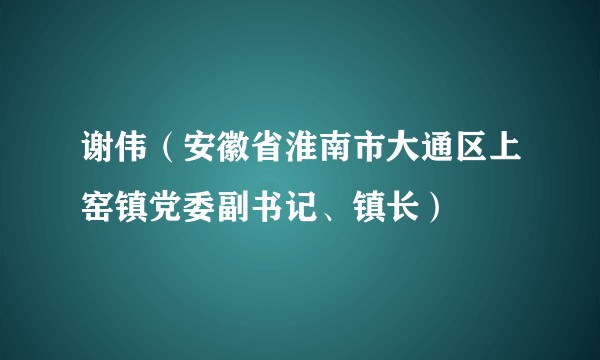 谢伟（安徽省淮南市大通区上窑镇党委副书记、镇长）