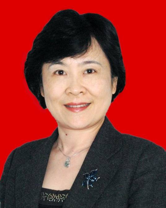 林丽（原四川省成都市武侯区委副书记，区政府区长、党组书记）
