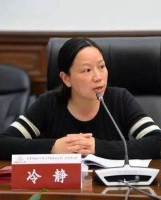冷静（中国华东政法大学教授、常务副院长）