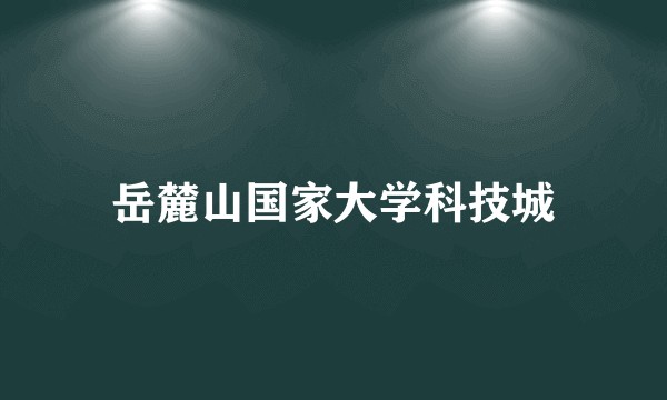 岳麓山国家大学科技城