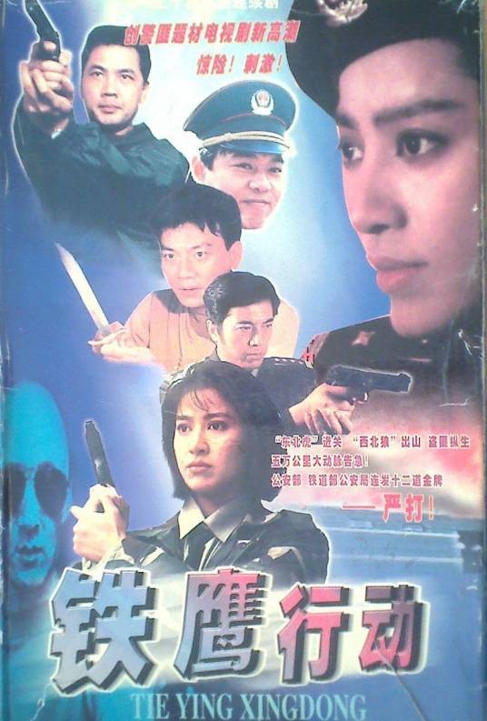 铁鹰行动（1995年郭少雄执导的电视剧）