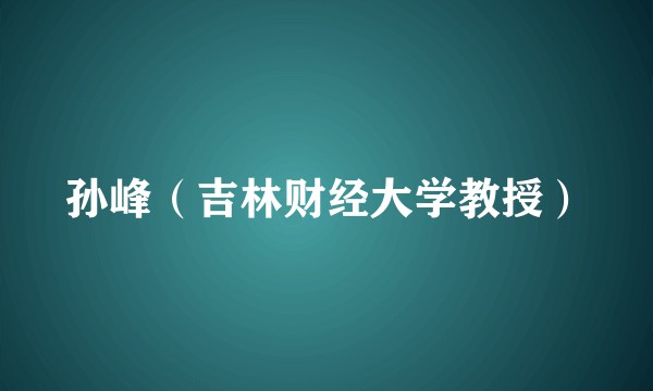 孙峰(吉林财经大学教授)
