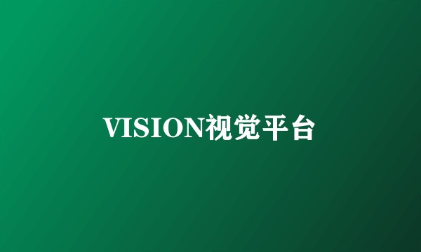 VISION视觉平台