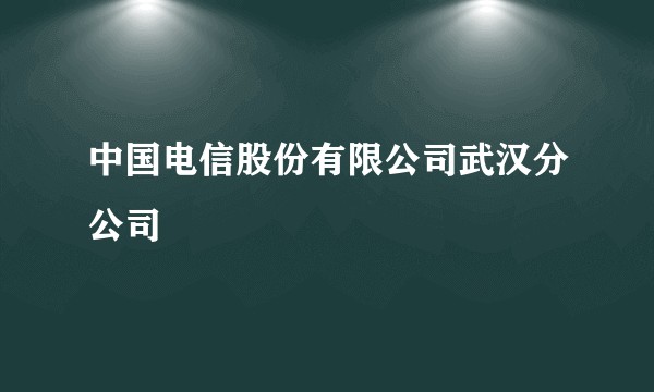 中国电信股份有限公司武汉分公司