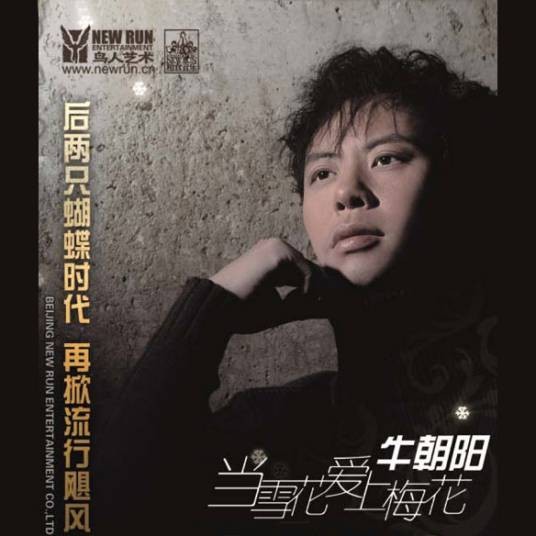 当雪花爱上梅花(牛朝阳演唱歌曲)