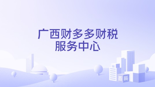 广西财多多财税服务中心